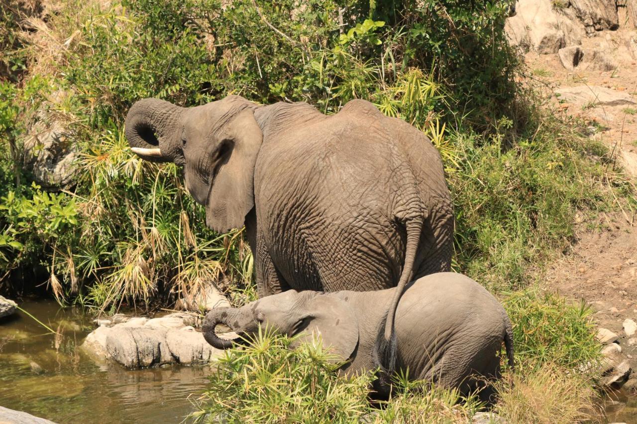 White House Of Tanzania Vandrarhem Arusha Exteriör bild