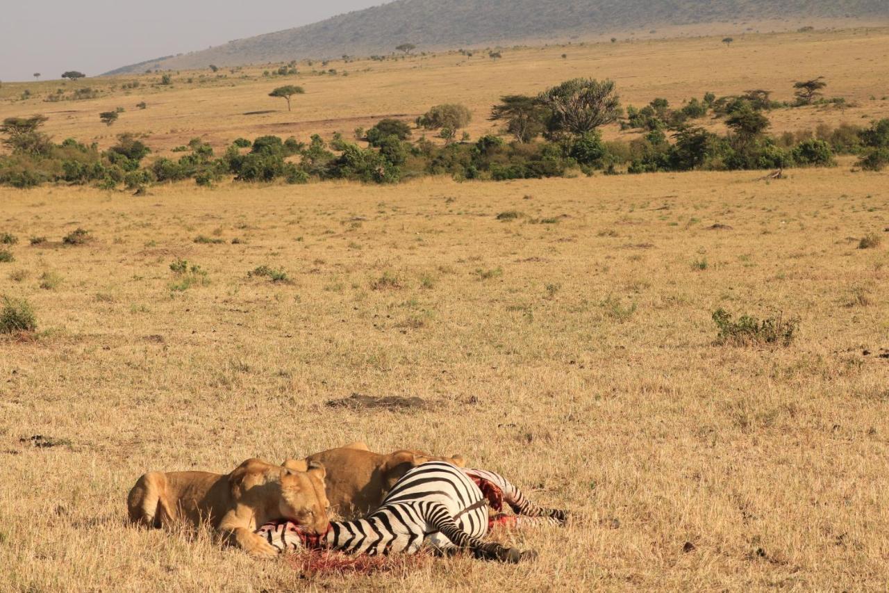 White House Of Tanzania Vandrarhem Arusha Exteriör bild